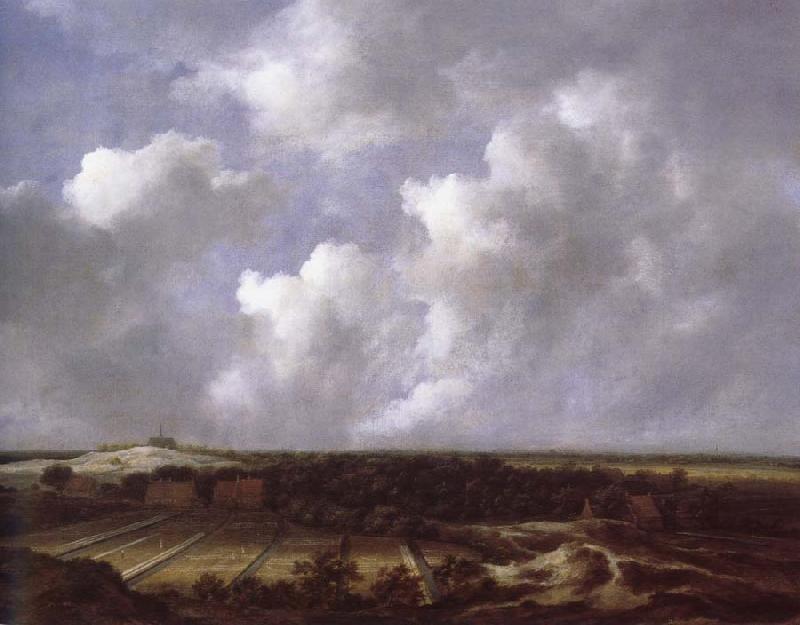 Jacob van Ruisdael View of the Dunes near Bl oemendaal with Bleaching Fields oil painting image